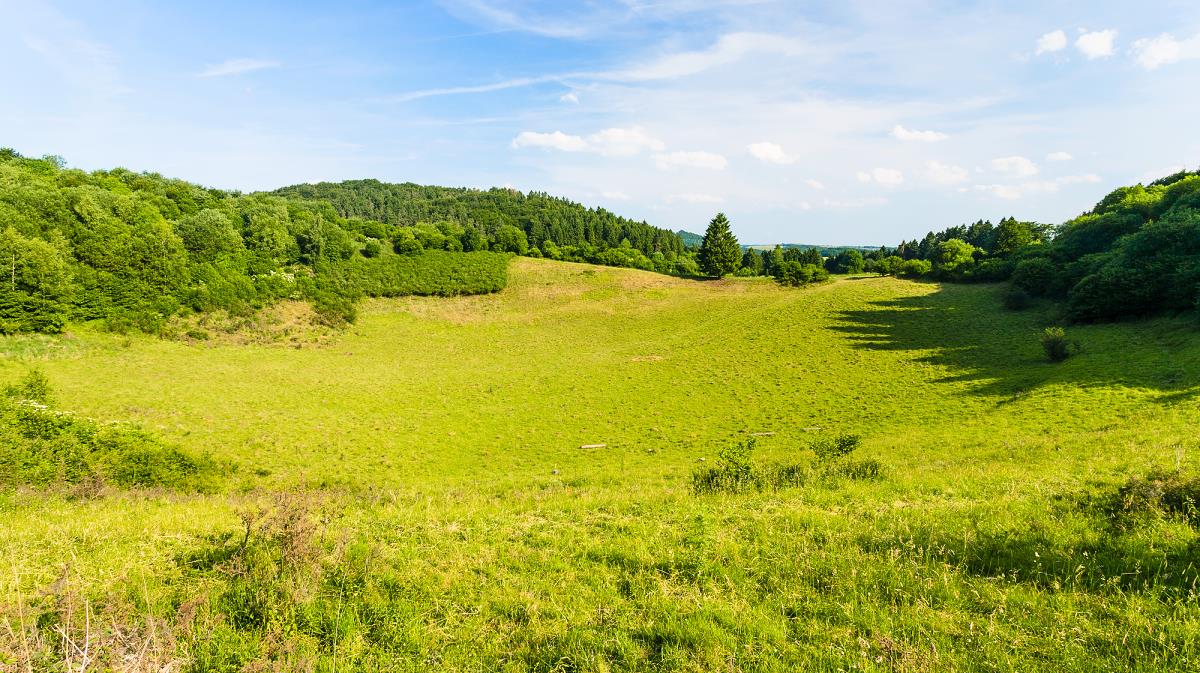 Grüne Hügel im Natur und Geopark Vulkaneifel